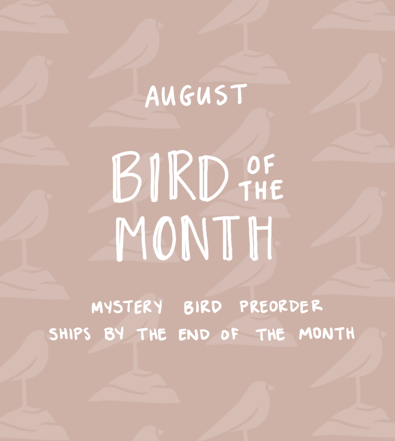 August Bird of the Month