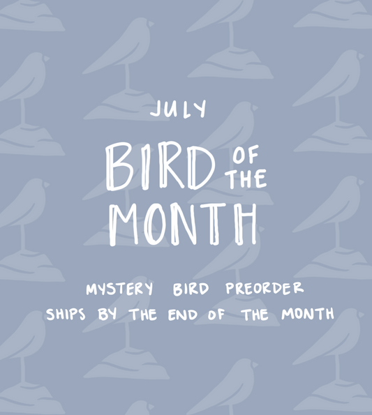 July Bird of the Month