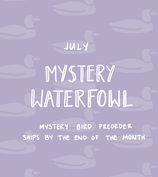 July Mystery Waterfowl