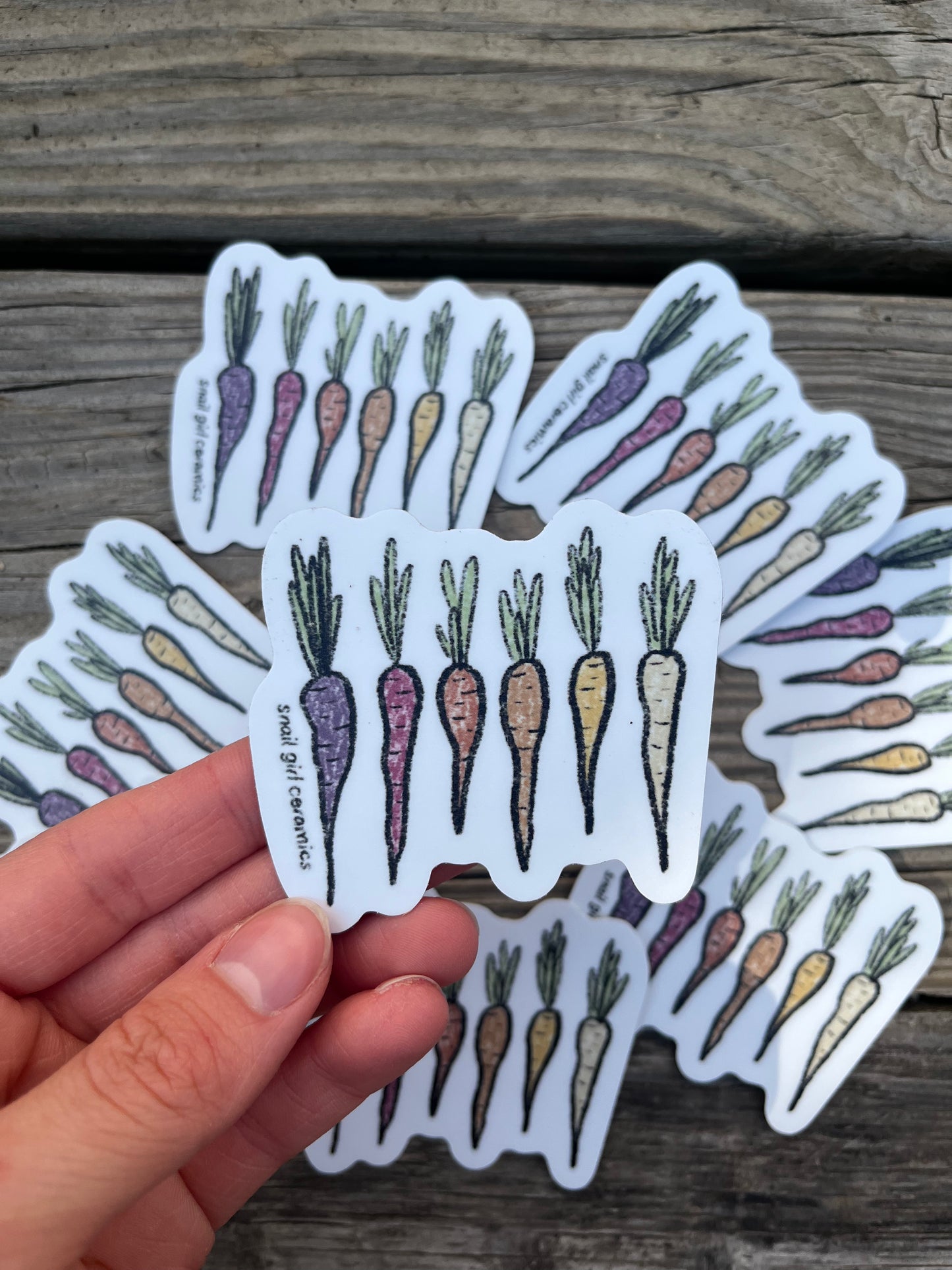 Rainbow Carrots Sticker