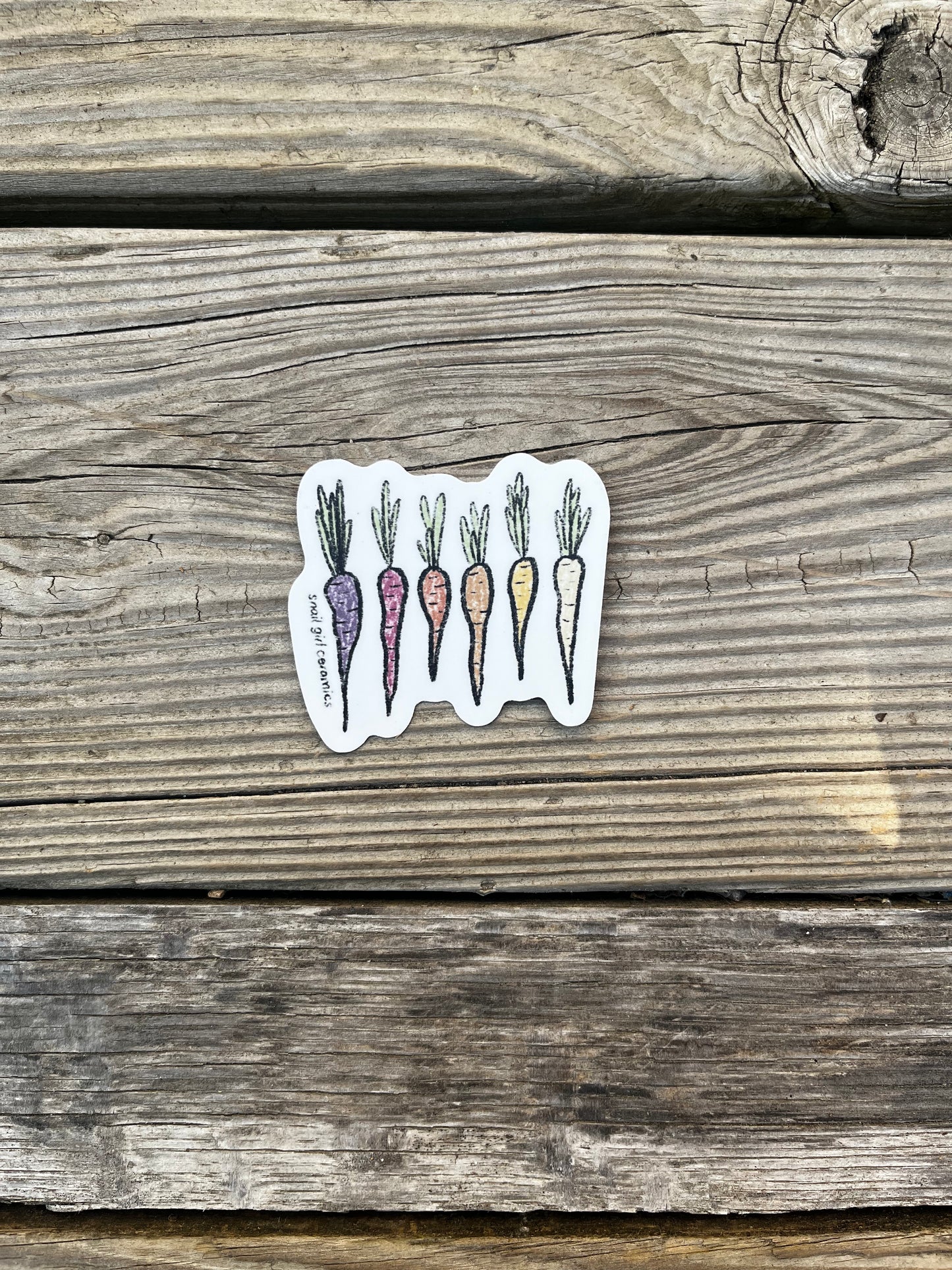 Rainbow Carrots Sticker